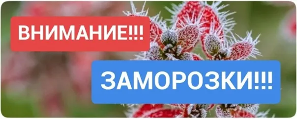 ЭКСТРЕННОЕ ПРЕДУПРЕЖДЕНИЕ о вероятности возникновения чрезвычайных ситуаций на территории Нижегородской области